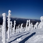 Casablanca Glades, Saddleback Mountain (Rangeley, Maine)