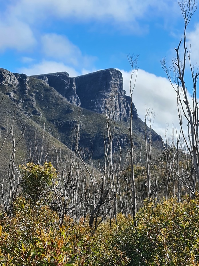 East Bluff, Bluff knoll 