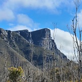 East Bluff, Bluff knoll 