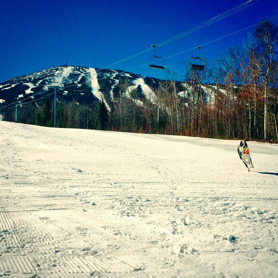 Sugarloaf, Sugarloaf Mountain (Franklin County, Maine)