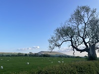 Pendle Hill photo