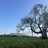 Pendle Hill