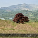 Views from Loughrigg