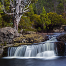 Pencil Pine Falls