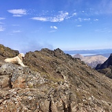 Summer picnic with Douglas from The Lookout Skye, Bruach Na Frithe