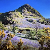 Rannerdale bluebells, Rannerdale Knotts