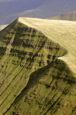 Cribyn photo