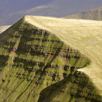 Cribyn