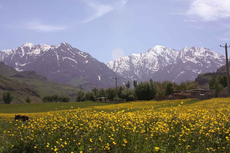 oshtoran kooh, سن بران