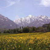 oshtoran kooh, سن بران