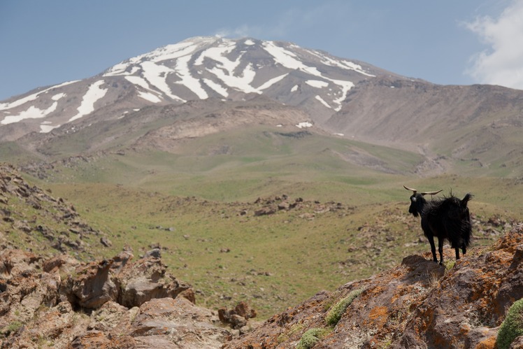 Damavand, Damavand (دماوند)