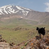 Damavand, Damavand (دماوند)