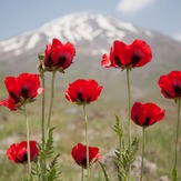 Damavand, Damavand (دماوند)