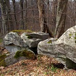 Ravna planina,Crni vrh 1542 mnv, Goč