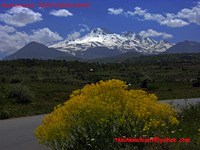 Mt.Erciyes, Erciyes Dagi photo