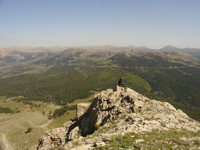 dedegol mountain 4 - ROTA, Dipoyraz