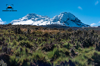 Mañana soleada en los páramos del Antisana  photo