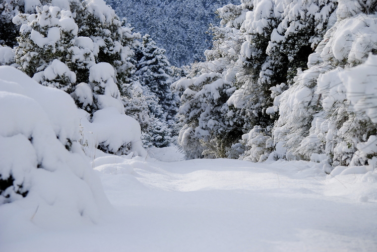 Tsapournia 1000m, Erymanthos