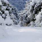 Tsapournia 1000m, Erymanthos