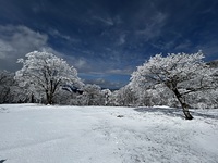 Mt. Myojin, Mount Myōjin photo