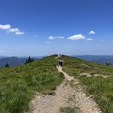 Path to the summit, Mount Bunagatake