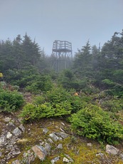 Coburn Mountain, Coburn Mountain (Maine) photo