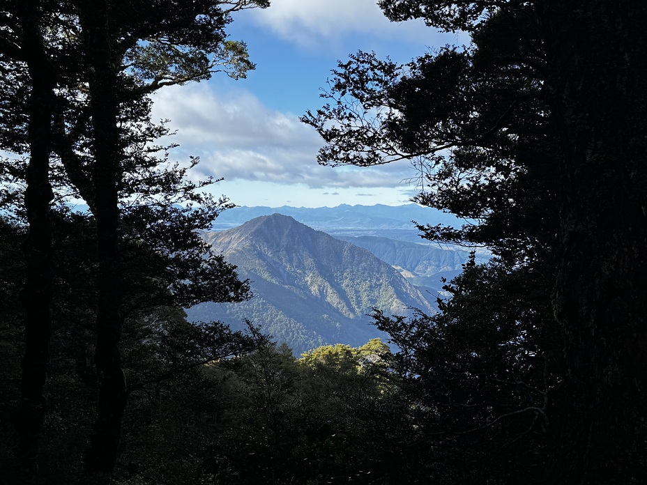 View from the track, Mount Arthur