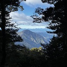 View from the track 