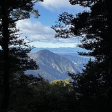 View from the track, Mount Arthur