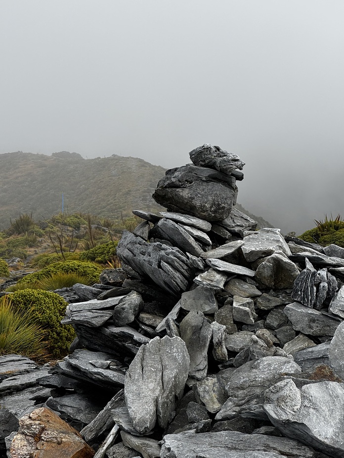 Near Arthur hut, Mount Arthur