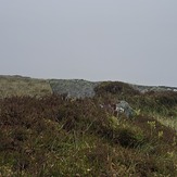 Mist, Tonelagee
