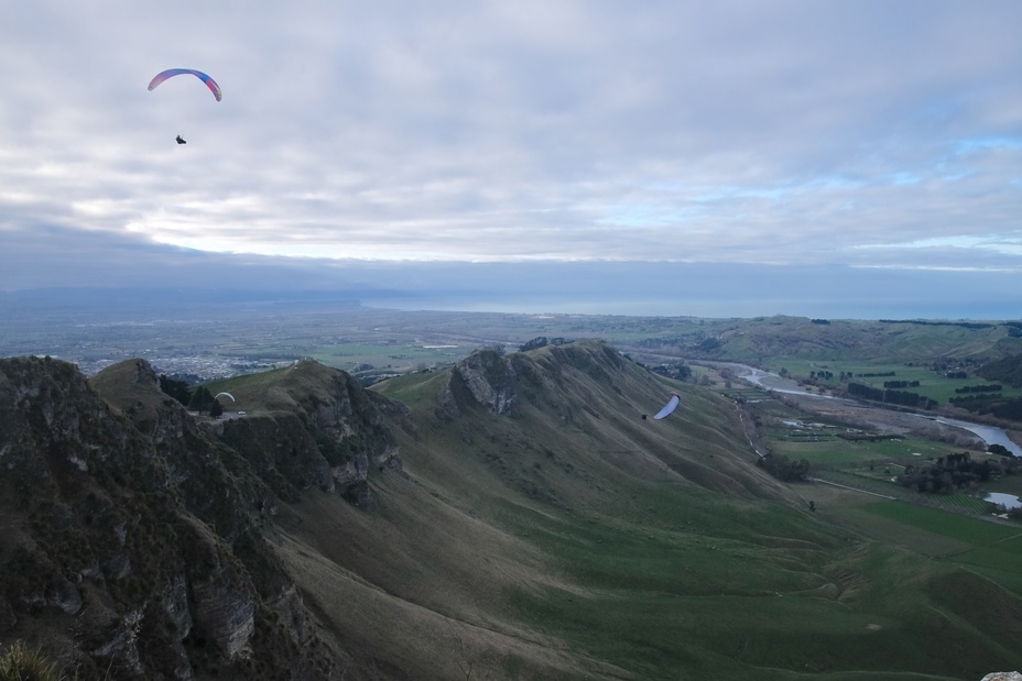 Paragliding at Te Mata Peak
