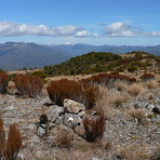 Mount Stevens Summit