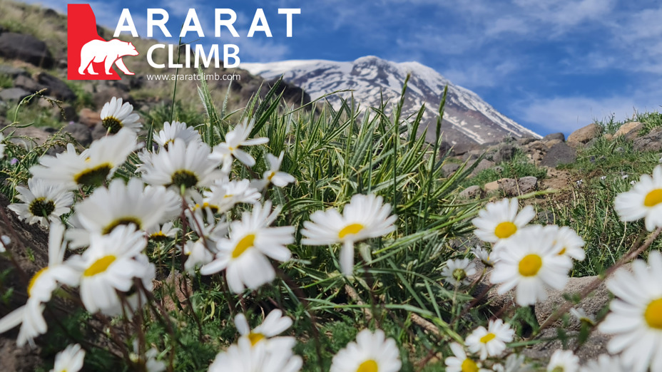 Araratclimb, Mount Ararat or Agri
