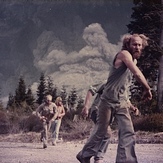 Tree planting #7, Mount Saint Helens