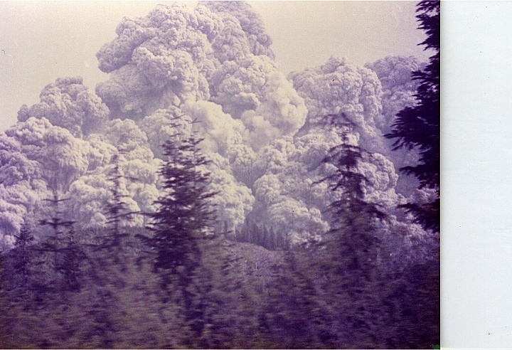 Tree planting #6, Mount Saint Helens
