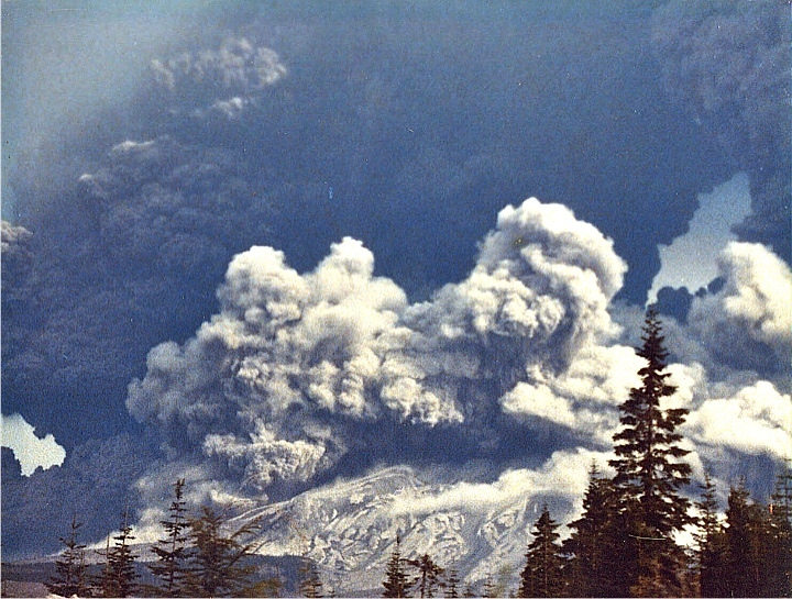 Tree planting#5, Mount Saint Helens