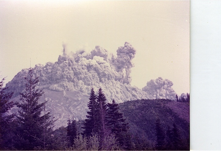 Tree planting #1, Mount Saint Helens
