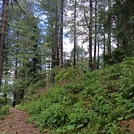 Miranjani Top