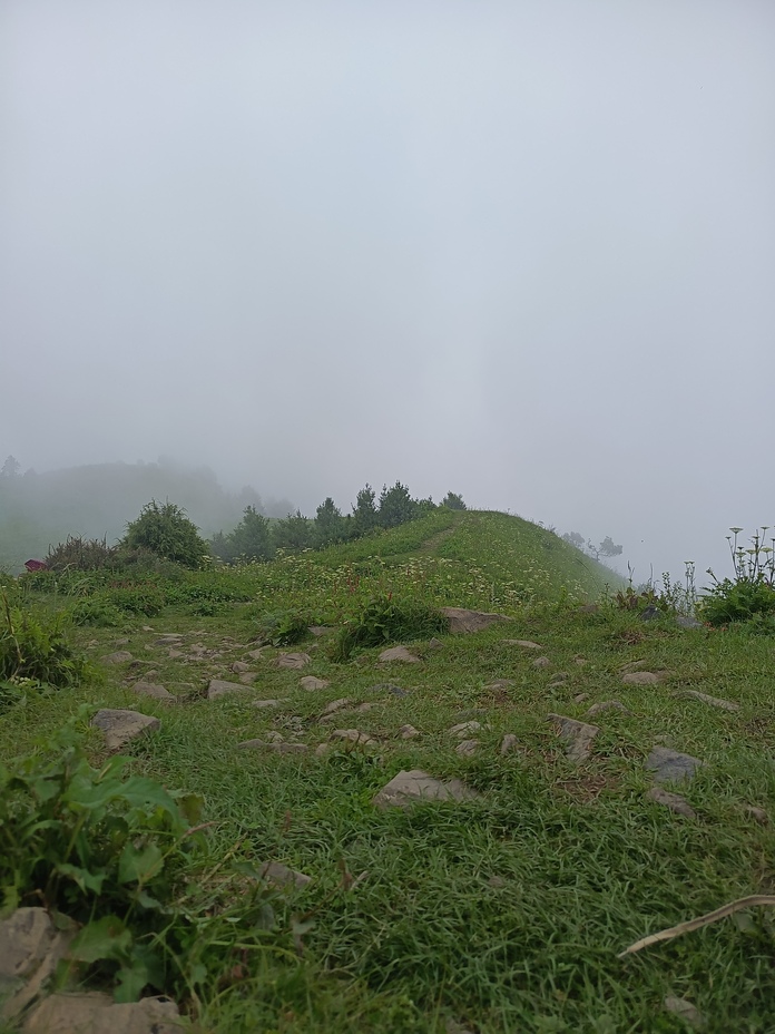 Top, Miranjani