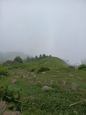 Top, Miranjani photo