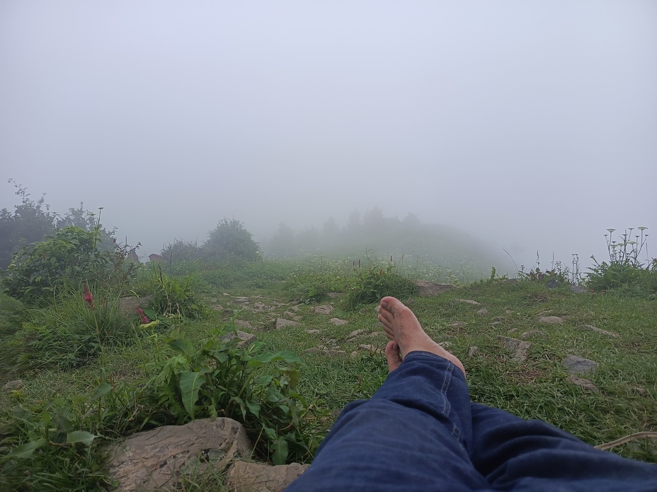 Top, Miranjani