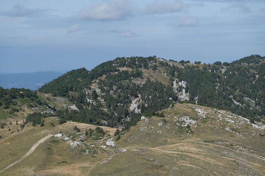 Crêt de la Neige