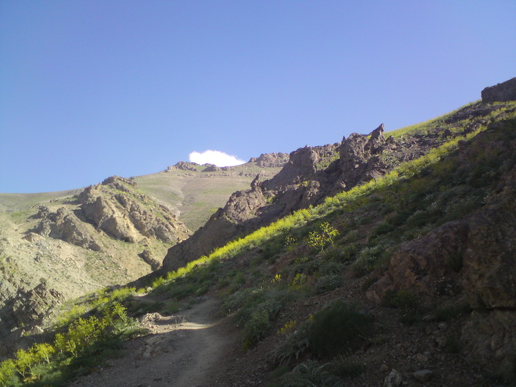 Kolakchal