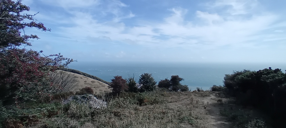 St Boniface down, St Boniface Down (Isle of Wight)