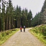 Beast of Burden, BikePark Wales