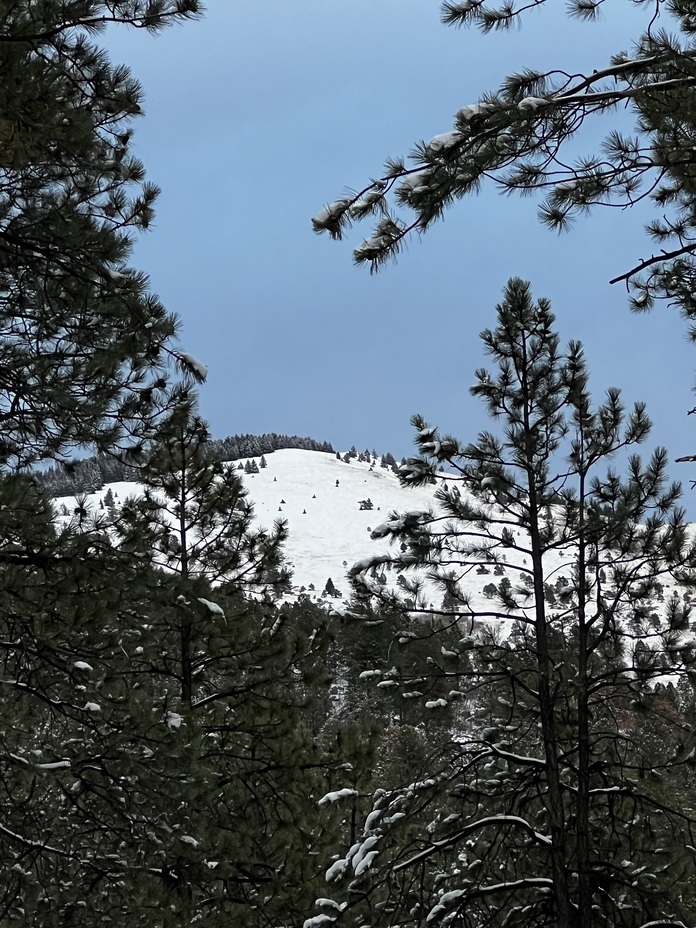 Winter 2024, Mount Taylor