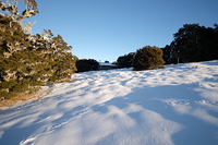 Balloon Hut in Winter photo