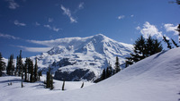 Mt. Rainier, WA, Mount Rainier photo