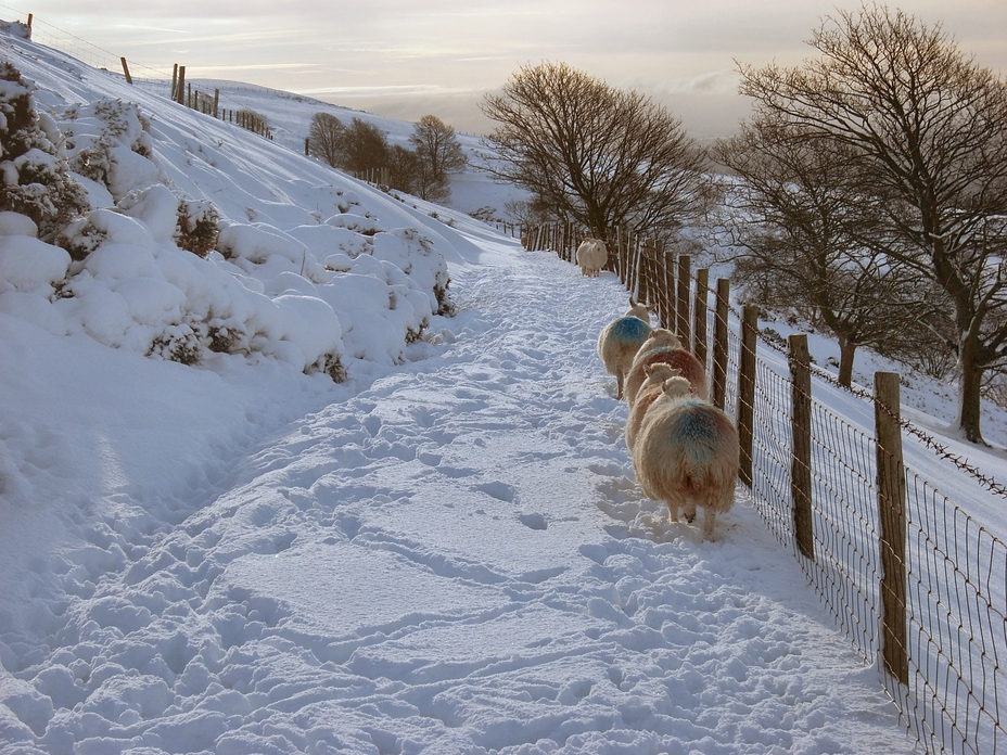Path below top, Penycloddiau